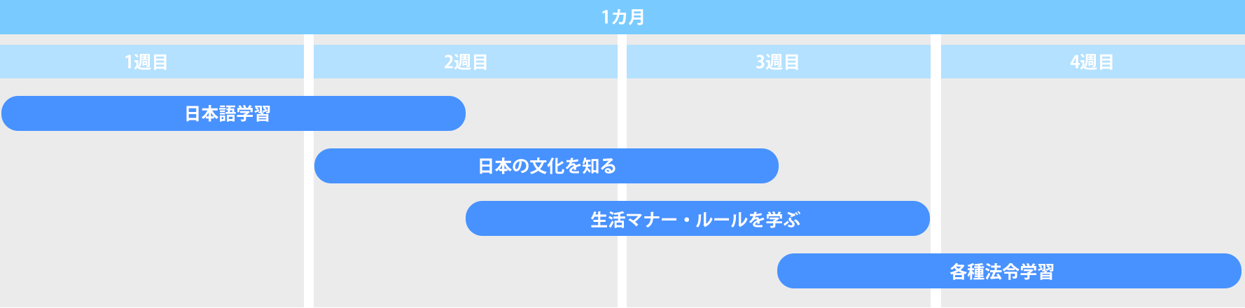 研修スケジュール図